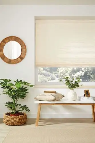 Pleated Blinds